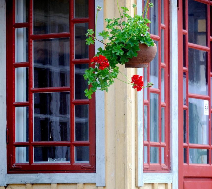 Vildrosor & Hoens Hagstad ภายนอก รูปภาพ